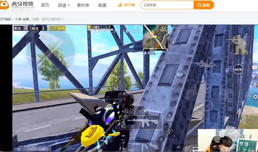 和平精英【雪儿内核】辅助